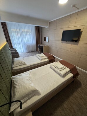 Twin Room | Desk, laptop workspace, free WiFi