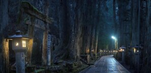 Ecotours - Koyasan Gokuraku Stay (Koya)
