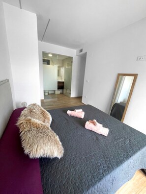 Apartment | 2 bedrooms, iron/ironing board