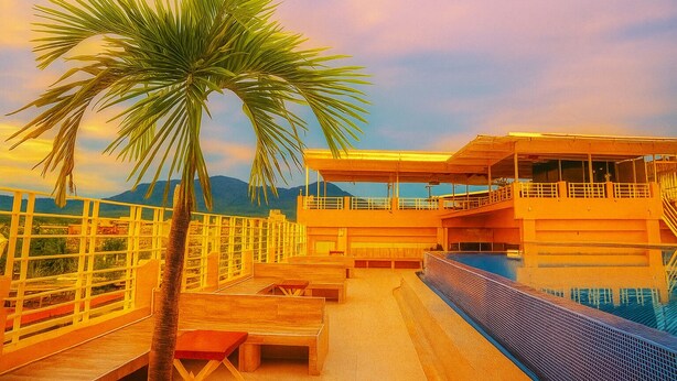 Un área junto a la piscina con una palmera, bancos de madera y un edificio con balcón con vistas a la piscina.