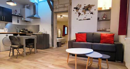 Historic center of Amboise, renovated apartment with free private parking