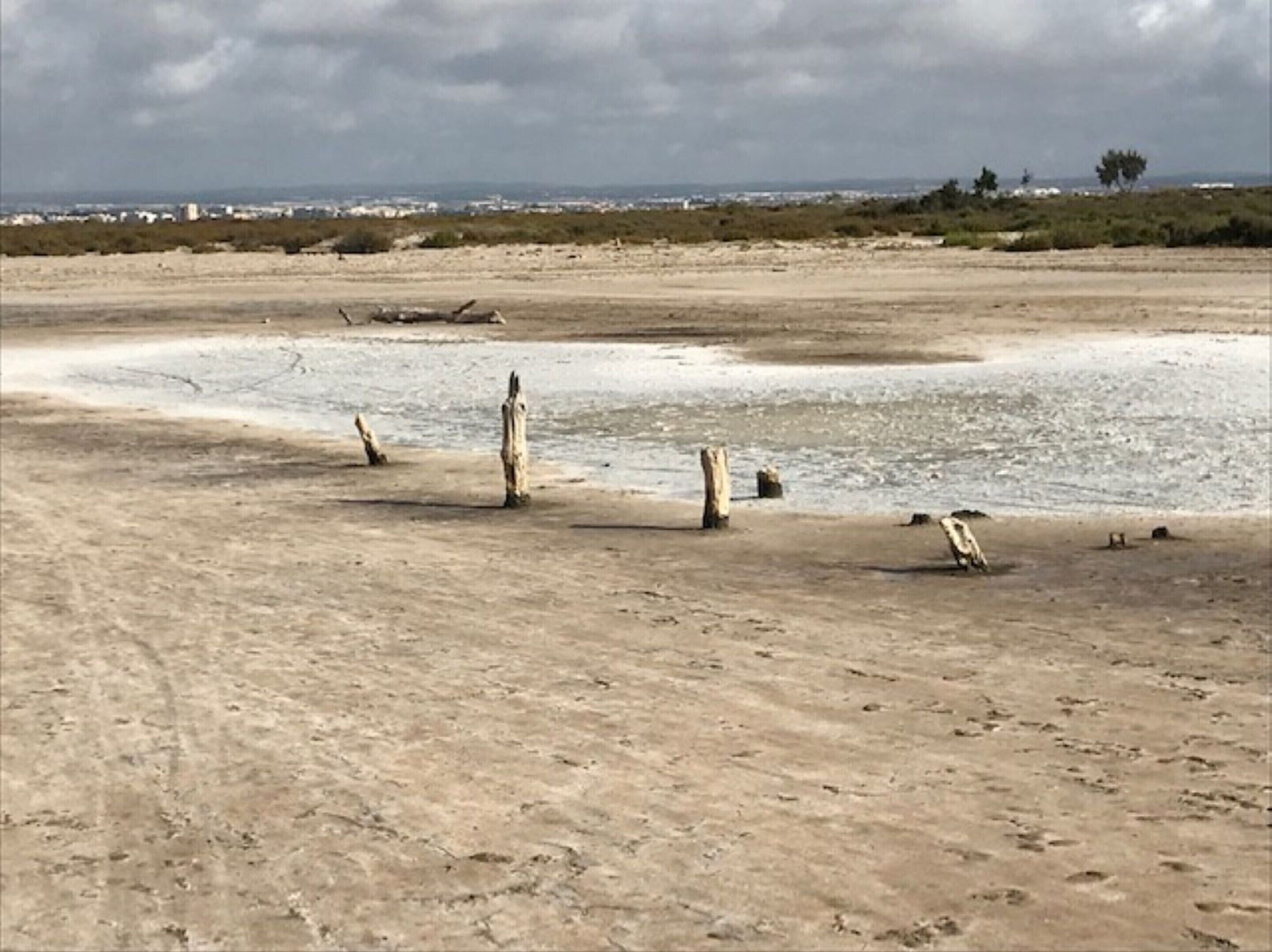 海灘