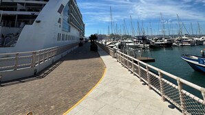 A cruise ship docked at a marina with multiple boats, a clear sky, and a walkway with railings.