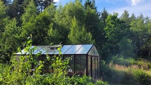 Une serre dotée d’un toit en verre, entourée d’une forêt dense.