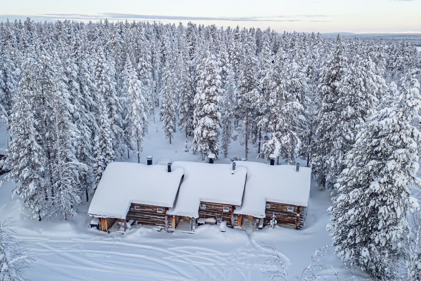 Een hut met een sneeuwbedekte dak, omgeven door een dicht bos.