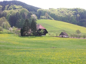 Une maison de campagne avec un toit rouge, entourée d’un champ verdoyant parsemé de fleurs jaunes, et une colline boisée en arrière-plan.