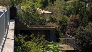 A modern building with a wooden deck, a glass enclosure, and a metal railing.