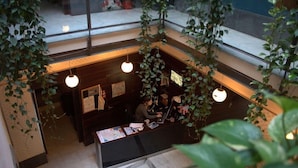 A reception area with a desk, computer, and hanging plants. - Joy Setas Coworking (Seville)