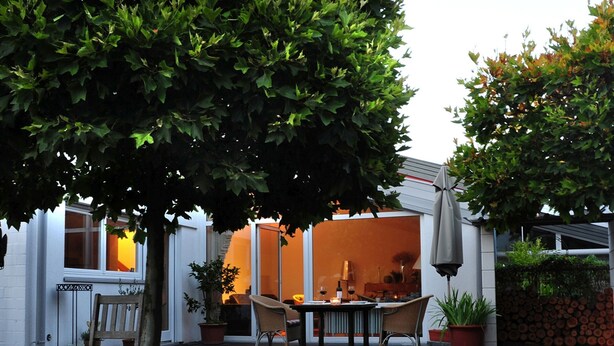 An outdoor patio with a table and chairs, surrounded by potted plants and a tree.
