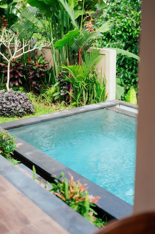 Piscine extérieure