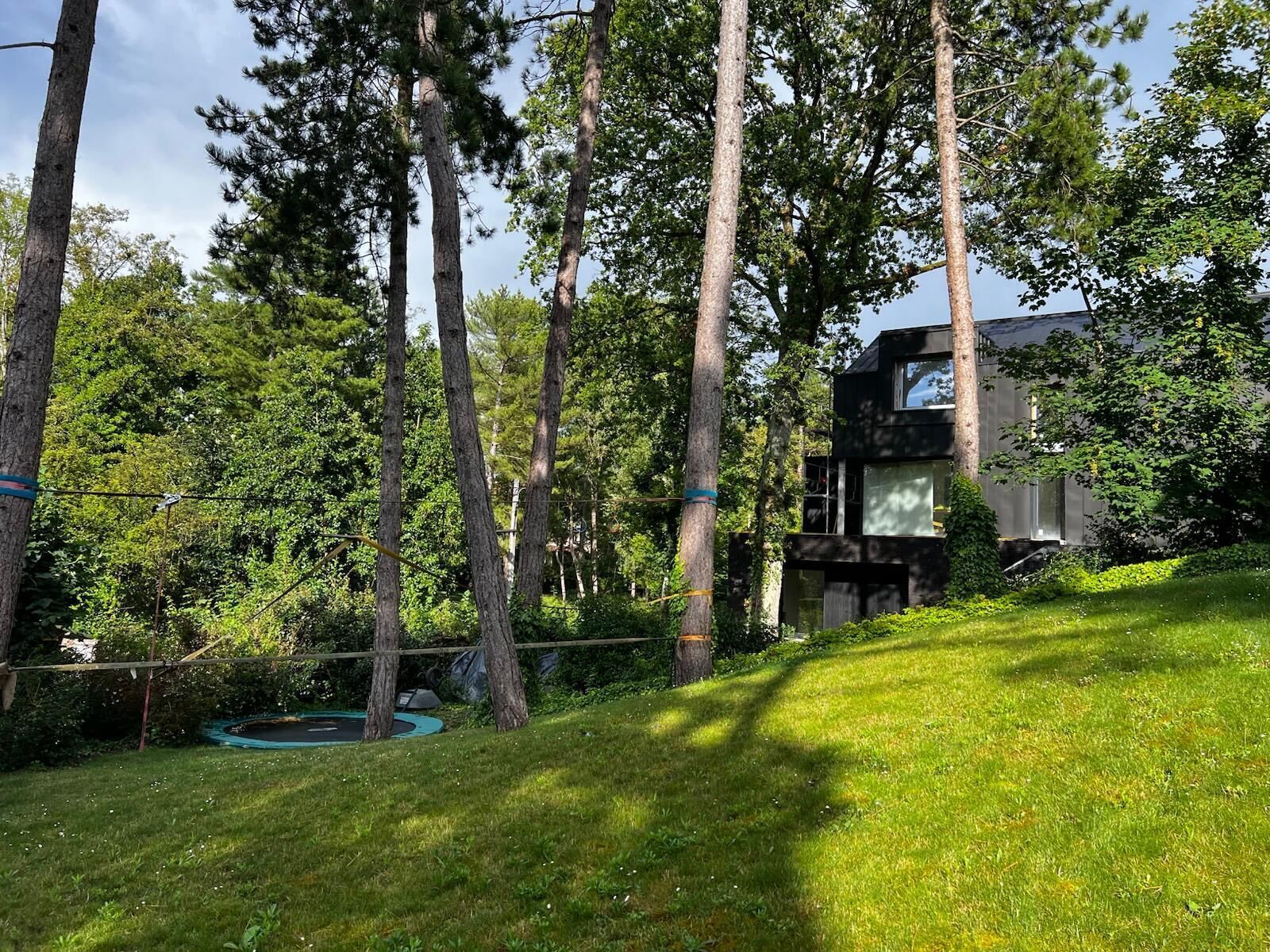 Une maison moderne entourée de grands arbres et d’une pelouse.