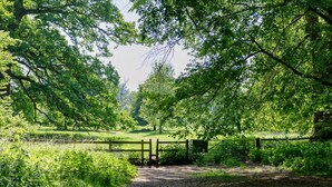 A rural pathway leading through a lush green landscape with a wooden gate and fence. - Cozy Corsham Apartment With 2 Bedrooms (Corsham)