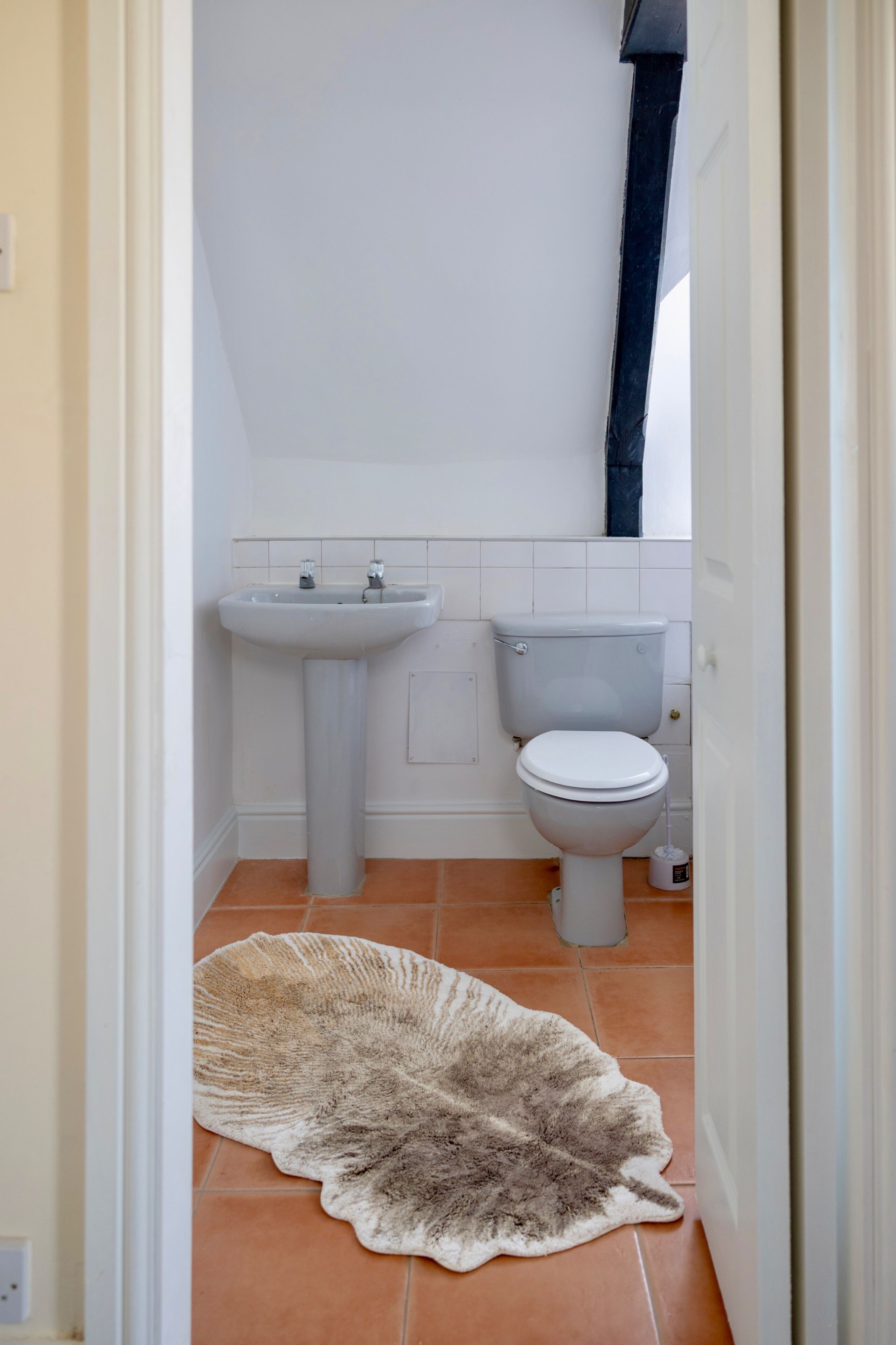A bathroom with a white sink, toilet, and a rug on the floor.