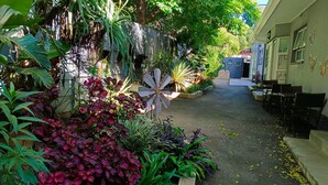A narrow courtyard with a variety of plants, a decorative fan, and outdoor seating.