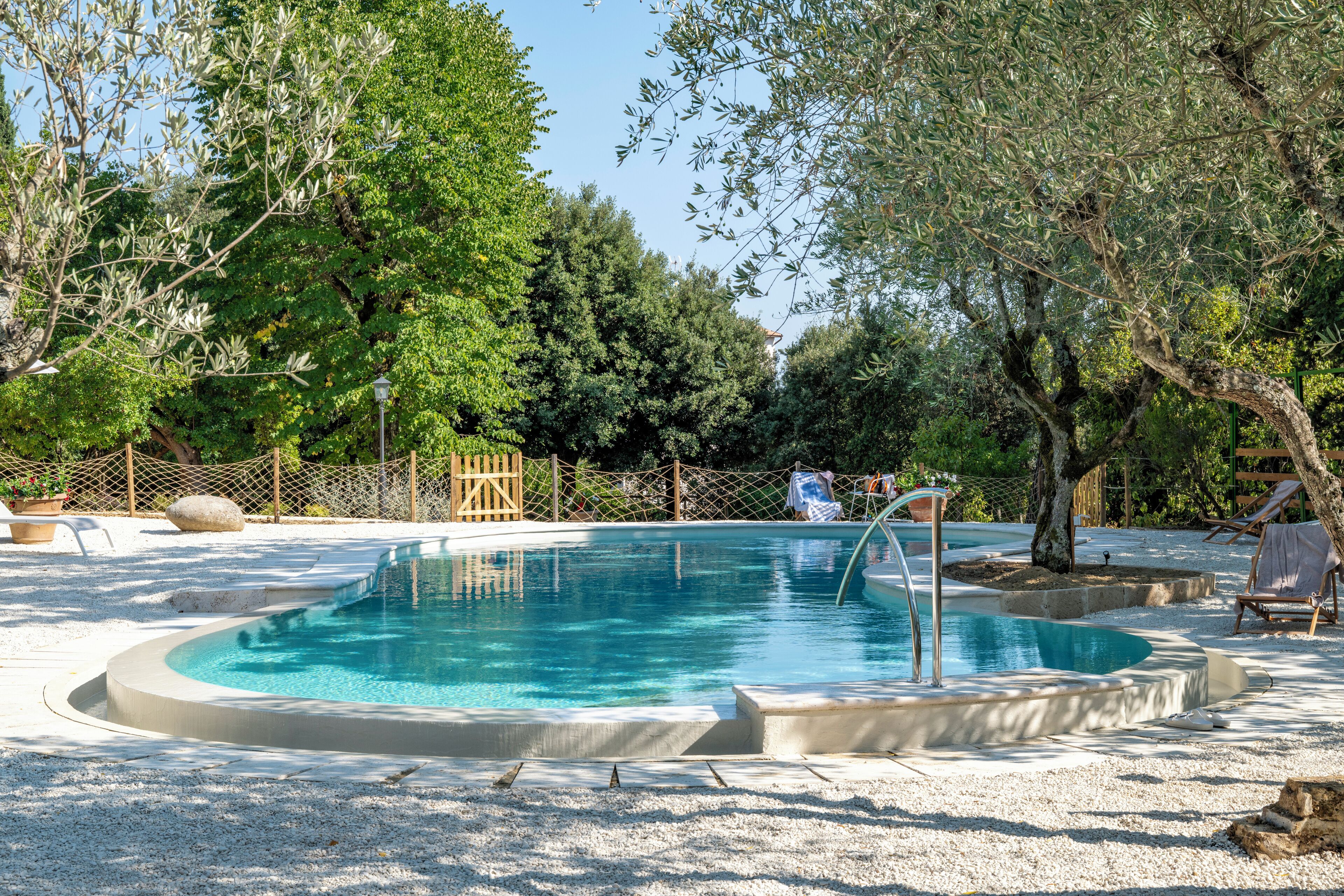 A swimming pool surrounded by trees and a wooden fence.