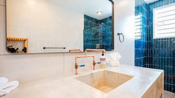 Shower, hair dryer