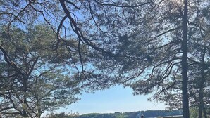 Un puente de madera con barandillas metálicas que conduce a un mirador con vistas a una zona boscosa.