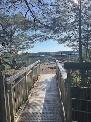 Enceinte de l’hébergement