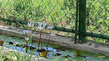 Außendetails