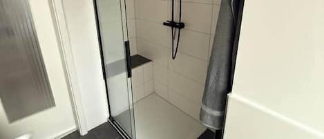 Shower, hair dryer, toilet paper