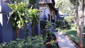 A pathway leading to a house with a thatched roof, surrounded by lush greenery and a well-maintained garden. - Golden Casa (Mokopane)