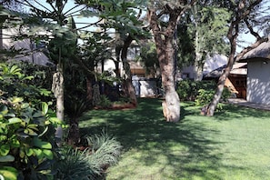 Garden view