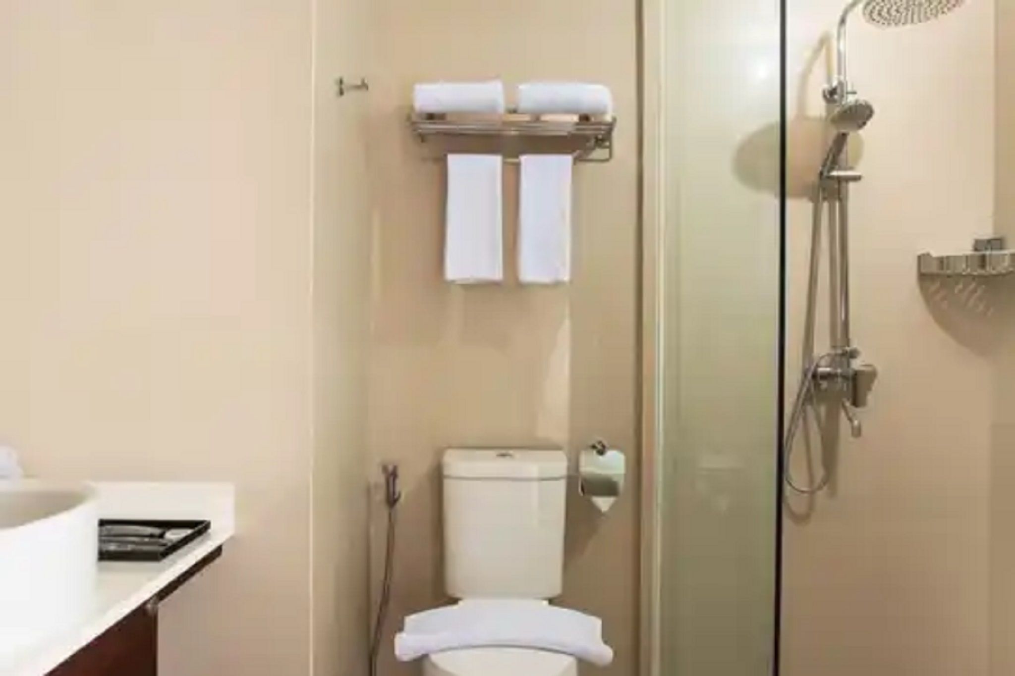 A bathroom with a toilet, a glass-enclosed shower, and a towel rack with two towels.