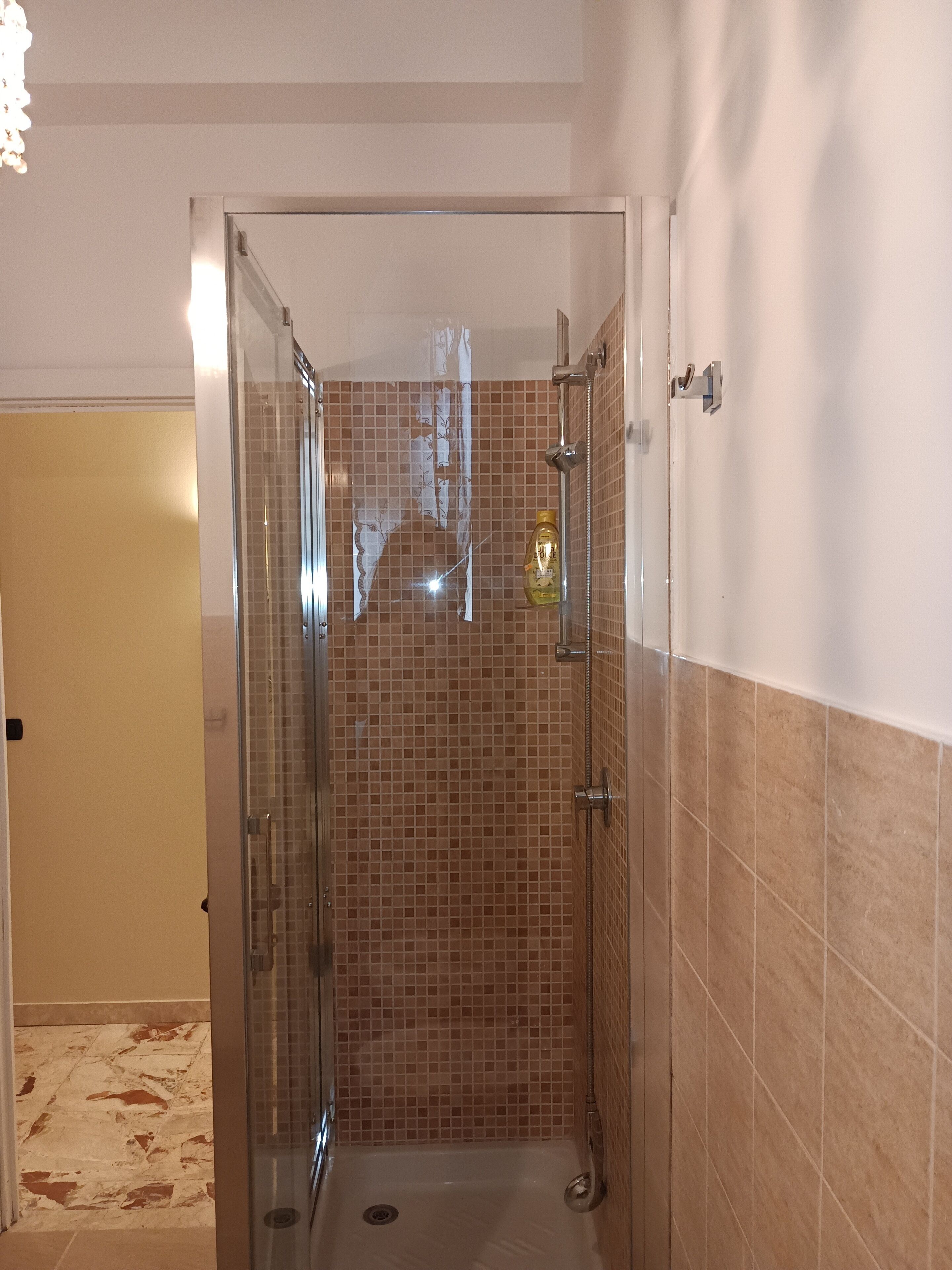 Une douche fermée par des parois de verre, avec des murs et un sol carrelés.