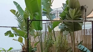 Un balcon agrémenté de plantes en pot, une table en métal et des chaises.