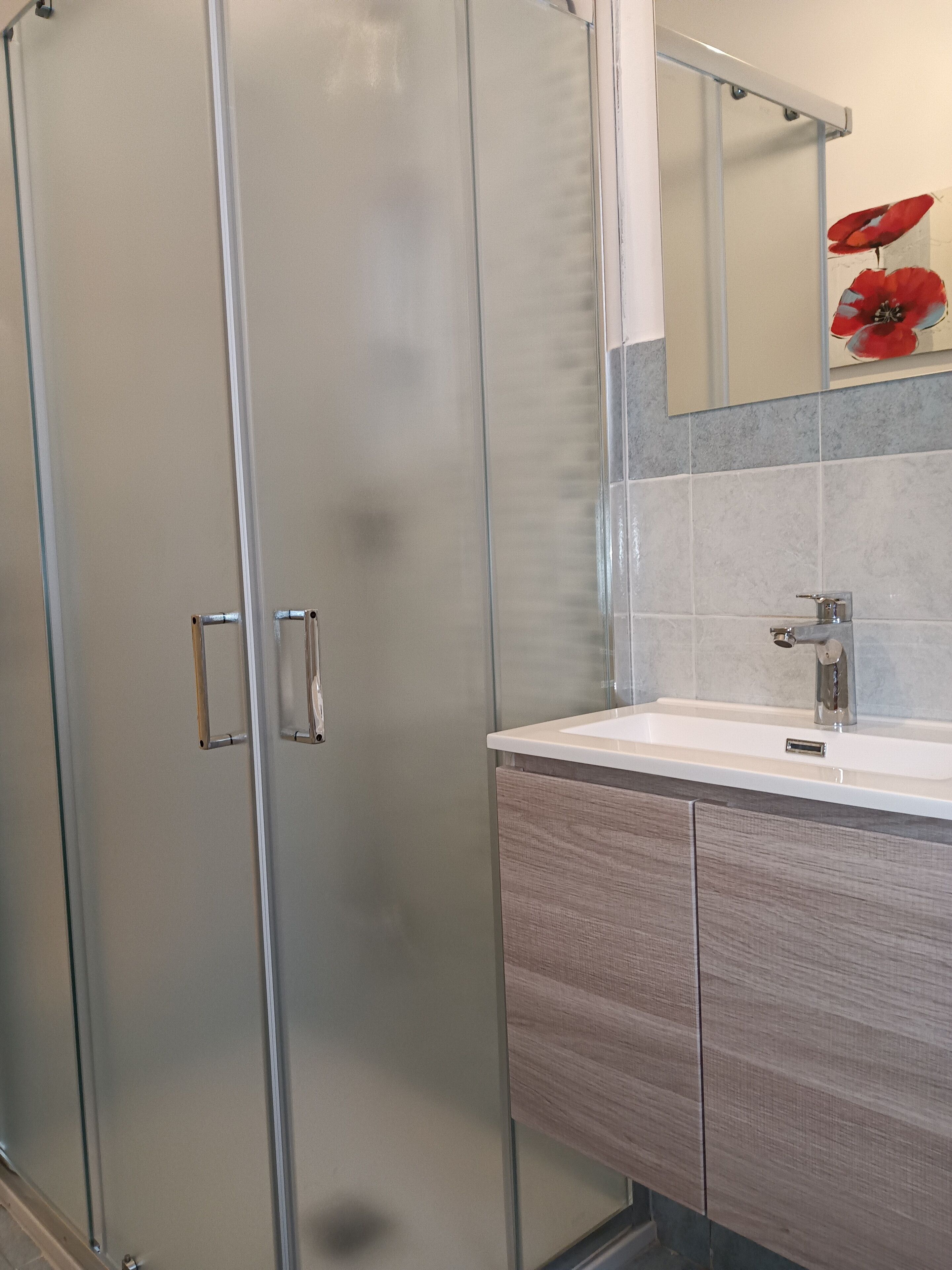 A modern bathroom with a glass shower enclosure, a white sink, and a mirror with a red poppy decoration.