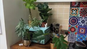 A kitchen with a wooden countertop, potted plants, a coffee machine, and colorful tiles on the wall. - Cozy, family-friendly 3-bedroom cottage in Headington (Headington)