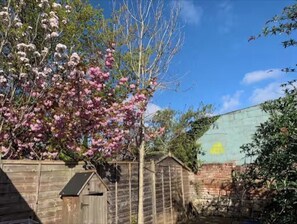 Property grounds - Cozy, family-friendly 3-bedroom cottage in Headington (Headington)