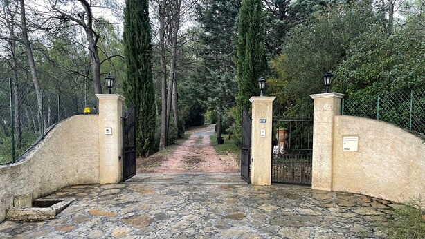 Un camino de piedra que conduce a través de una entrada con puerta de hierro forjado, rodeada de árboles.