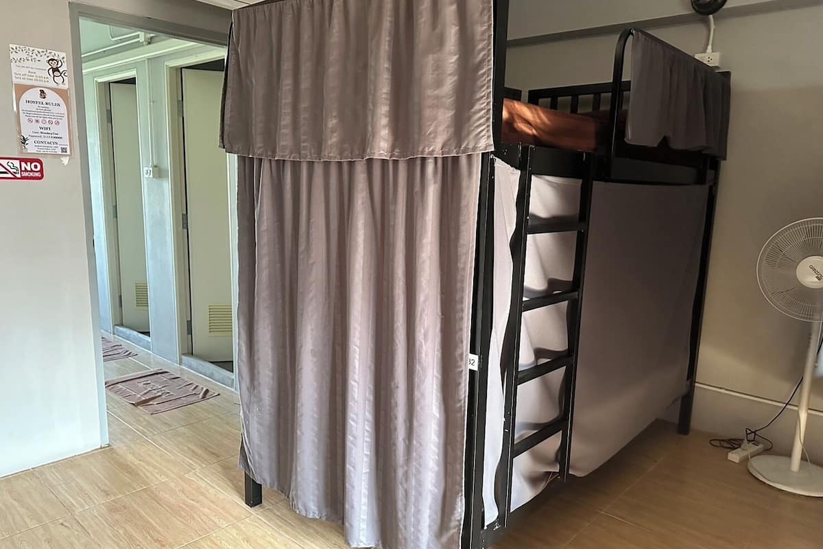 Dortoir Partagé, vue ville