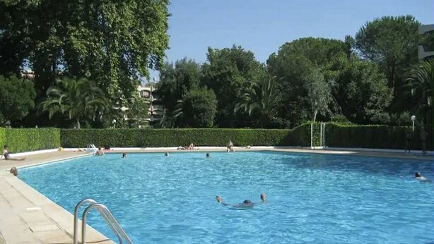 A swimming pool surrounded by greenery and a clear sky.