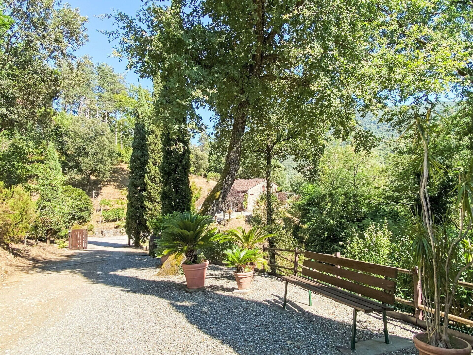 A gravel path leading to a wooden bench surrounded by potted plants and trees.