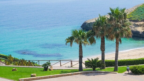 A coastal view with a paved walkway, palm trees, and a beach. - Nice apartment for 3 guests with WIFI, A/C, TV and terrace (Porto Torres)