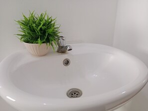 Shower, towels, soap, toilet paper