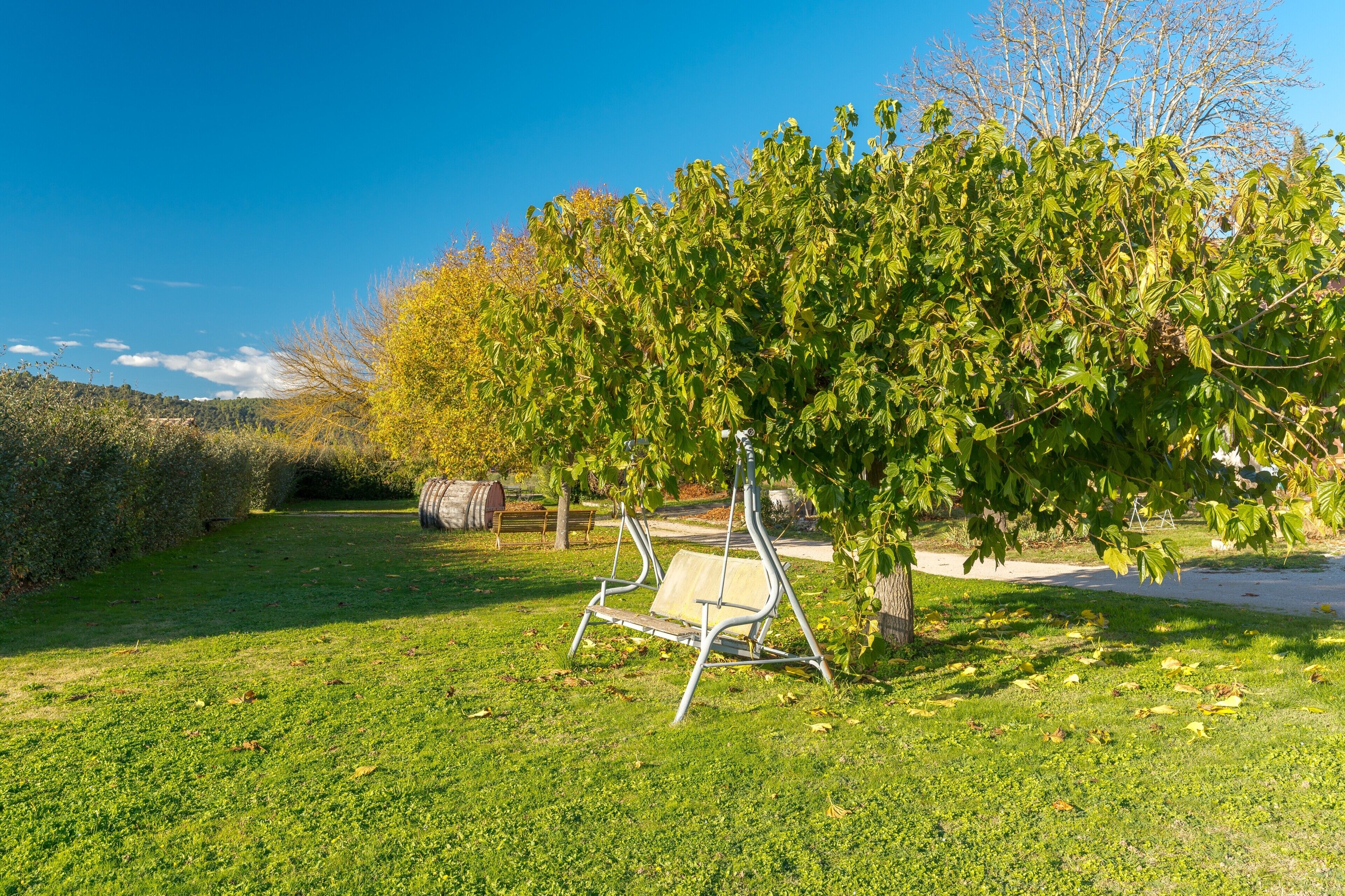 A grassy area with a swing set and a tree.