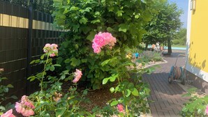 A garden with blooming pink roses, a brick pathway, and a yellow building in the background. - Matti vacation home in the Lusatian Lakeland (Schipkau)