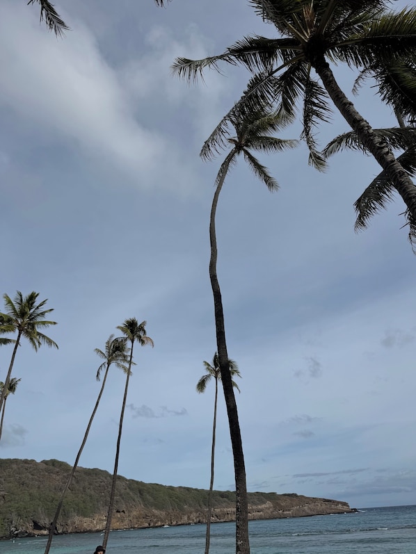 Beach - Villa Niu Hale (Fujisawa)