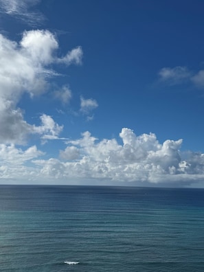 Miscellaneous - Villa Niu Hale (Fujisawa)