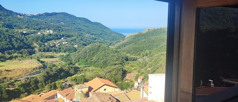 Vista desde la propiedad