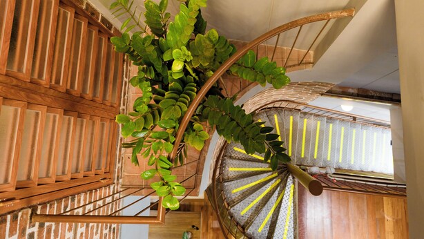 A spiral staircase with a wooden railing and a plant hanging from the top. - Charming Private Room with Balcony – Local Homestay with Host Family, Cozy Stay (Tỉnh Thừa Thiên Huế)