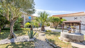 A garden with a pathway, palm trees, and a rustic fountain.