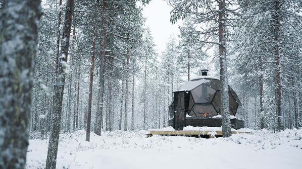 50-inch flat-screen TV with digital channels, Netflix
