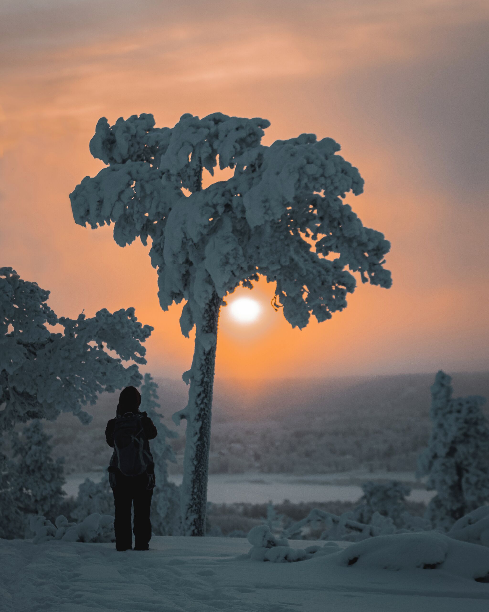 Henkilö seisoo lumisessa maisemassa, edessä on puu ja taustalla auringonlasku.