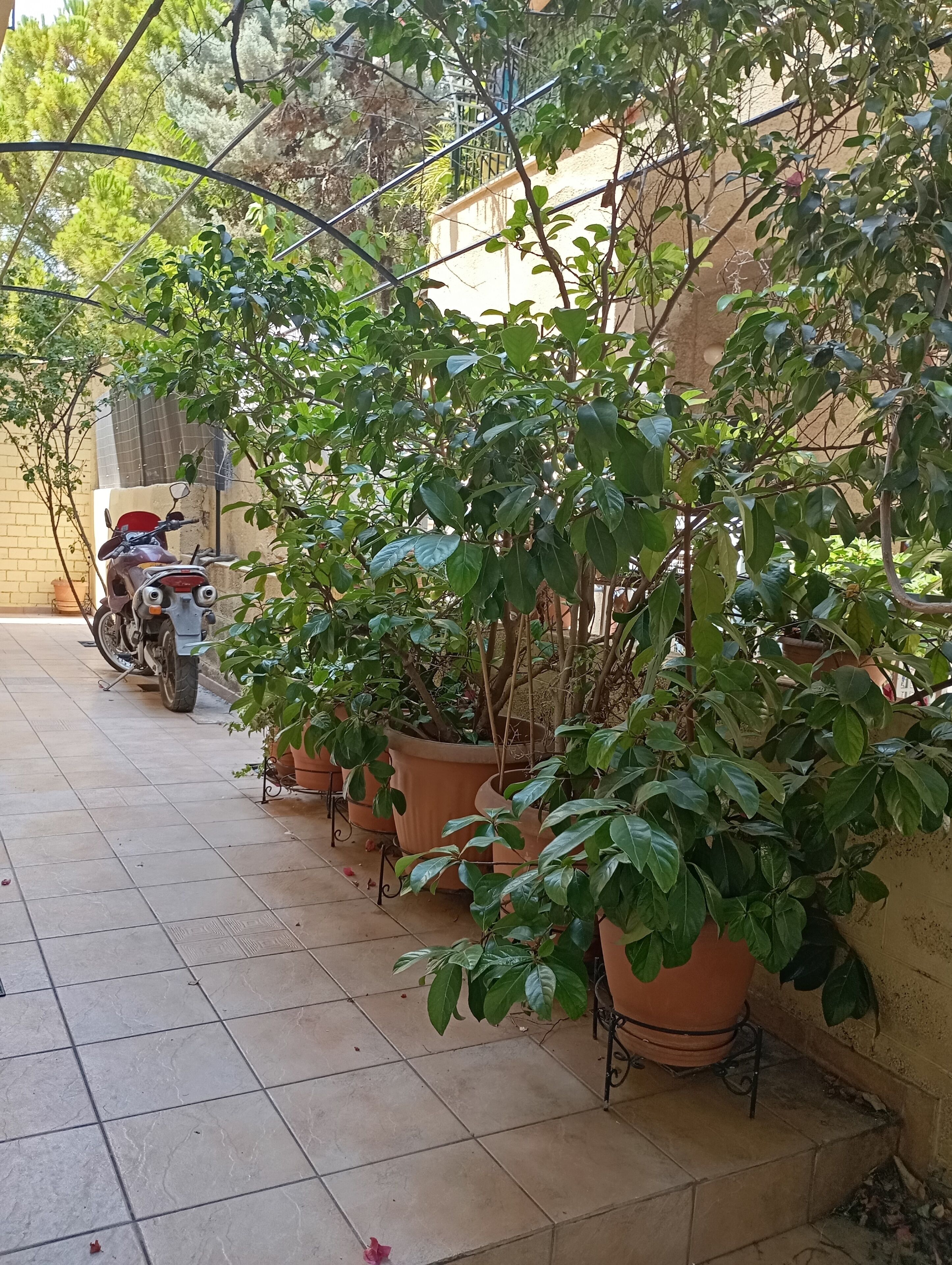 Áreas de la propiedad