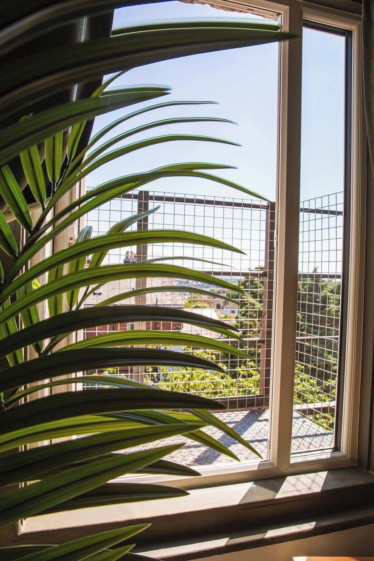 A window with a view of a building and a metal fence.