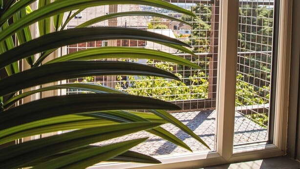 A window with a view of a building and a metal fence.
